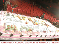 payapullaaudio